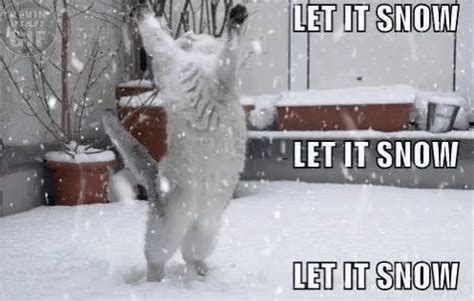 let it snow meme|funny snow memes images.